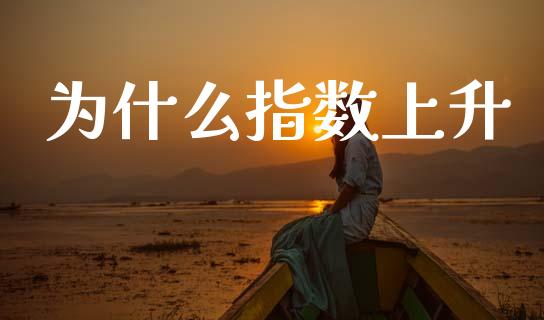 为什么指数上升_https://wap.jnbaishite.cn_金融资讯_第1张