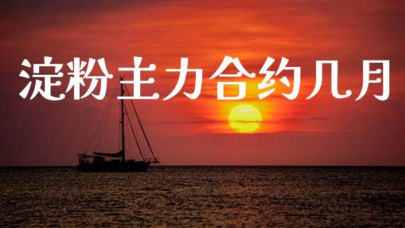 淀粉主力合约几月_https://wap.jnbaishite.cn_全球财富_第1张