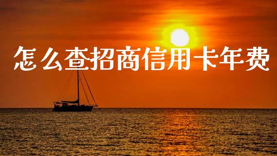 怎么查招商信用卡年费_https://wap.jnbaishite.cn_全球财富_第1张