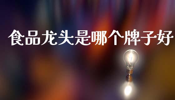 食品龙头是哪个牌子好_https://wap.jnbaishite.cn_金融资讯_第1张