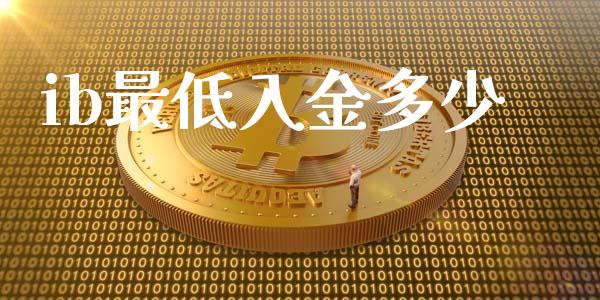 ib最低入金多少_https://wap.jnbaishite.cn_理财投资_第1张