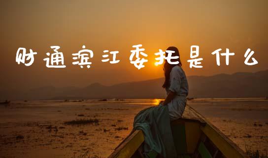 财通滨江委托是什么_https://wap.jnbaishite.cn_理财投资_第1张