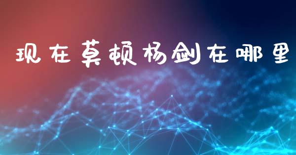 现在莫顿杨剑在哪里_https://wap.jnbaishite.cn_金融资讯_第1张