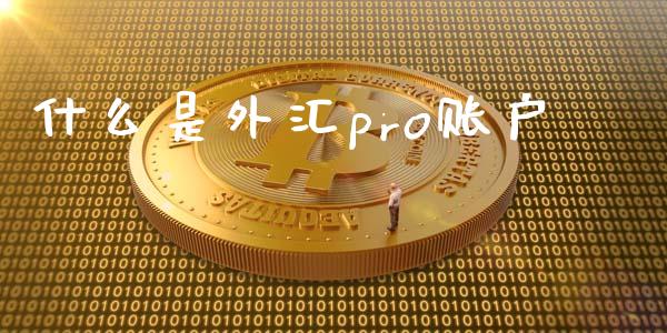 什么是外汇pro账户_https://wap.jnbaishite.cn_金融资讯_第1张