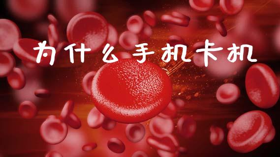 为什么手机卡机_https://wap.jnbaishite.cn_全球财富_第1张