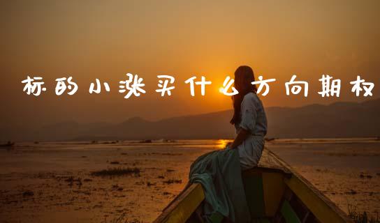 标的小涨买什么方向期权_https://wap.jnbaishite.cn_金融资讯_第1张