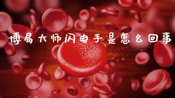 博易大师闪电手是怎么回事_https://wap.jnbaishite.cn_金融资讯_第1张
