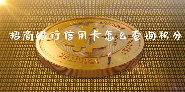 招商银行信用卡怎么查询积分_https://wap.jnbaishite.cn_全球财富_第1张