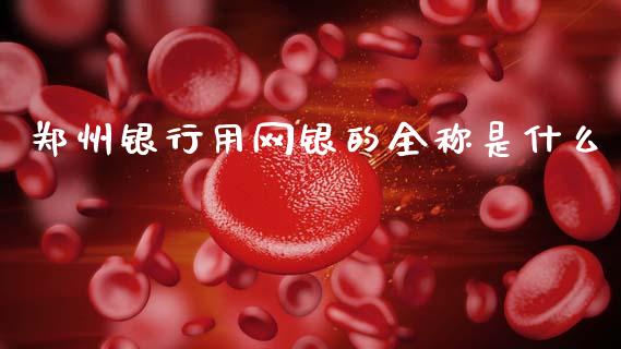 郑州银行用网银的全称是什么_https://wap.jnbaishite.cn_期货资讯_第1张