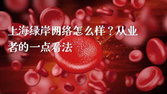 上海绿岸网络怎么样？从业者的一点看法_https://wap.jnbaishite.cn_金融资讯_第1张