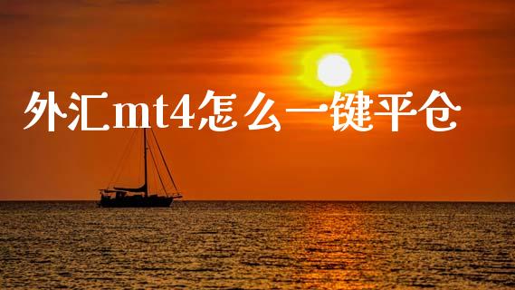 外汇mt4怎么一键平仓_https://wap.jnbaishite.cn_理财投资_第1张