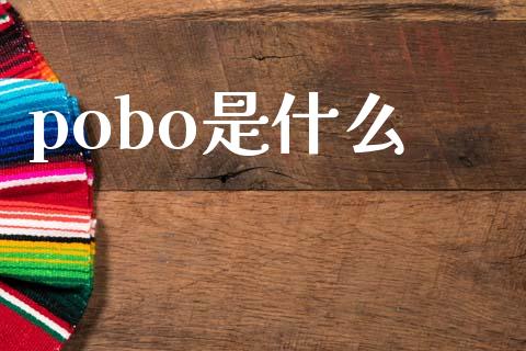 pobo是什么_https://wap.jnbaishite.cn_期货资讯_第1张