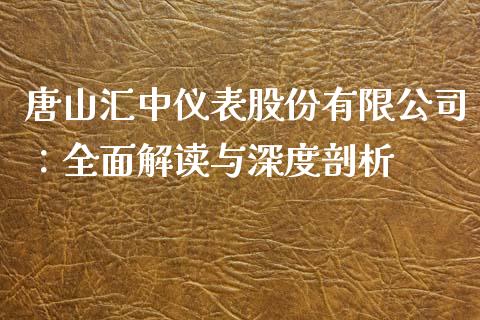 唐山汇中仪表股份有限公司：全面解读与深度剖析_https://wap.jnbaishite.cn_全球财富_第1张