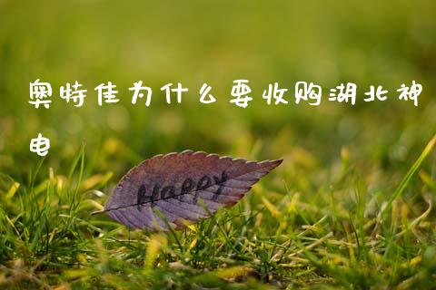 奥特佳为什么要收购湖北神电_https://wap.jnbaishite.cn_期货资讯_第1张