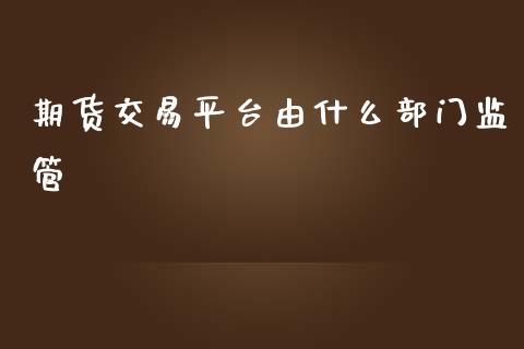 期货交易平台由什么部门监管_https://wap.jnbaishite.cn_金融资讯_第1张