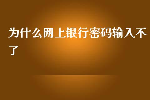 为什么网上银行密码输入不了_https://wap.jnbaishite.cn_期货资讯_第1张