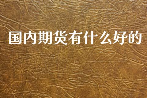 国内期货有什么好的_https://wap.jnbaishite.cn_全球财富_第1张