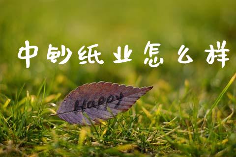 中钞纸业怎么样_https://wap.jnbaishite.cn_金融资讯_第1张