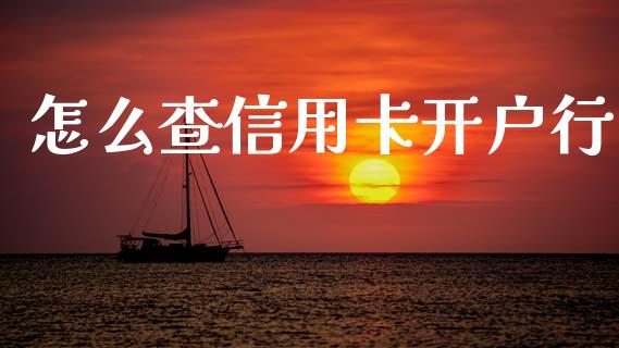 怎么查信用卡开户行_https://wap.jnbaishite.cn_金融资讯_第1张