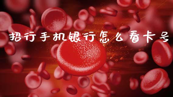 招行手机银行怎么看卡号_https://wap.jnbaishite.cn_理财投资_第1张
