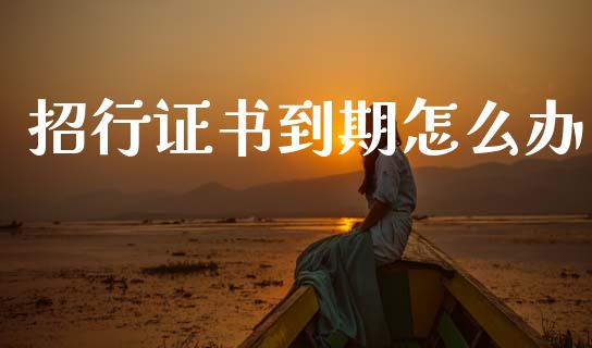 招行证书到期怎么办_https://wap.jnbaishite.cn_金融资讯_第1张