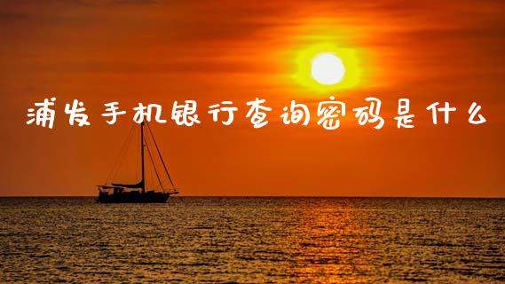 浦发手机银行查询密码是什么_https://wap.jnbaishite.cn_全球财富_第1张
