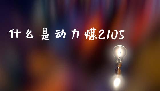 什么是动力煤2105_https://wap.jnbaishite.cn_理财投资_第1张