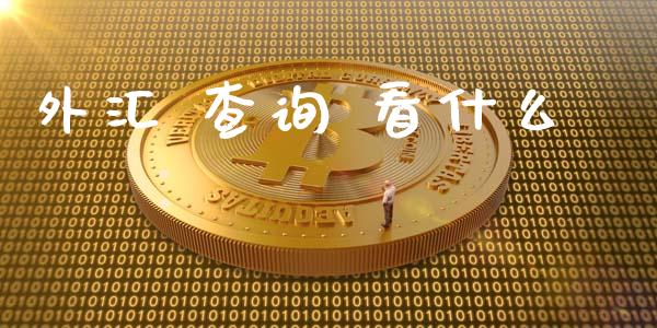 外汇 查询 看什么_https://wap.jnbaishite.cn_期货资讯_第1张