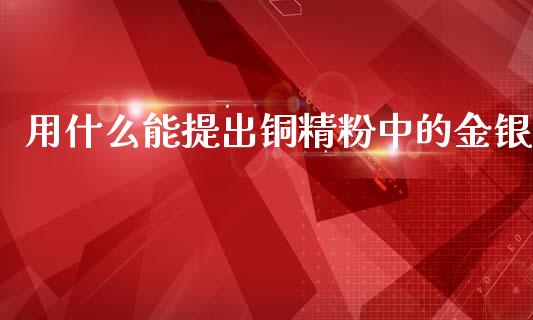 用什么能提出铜精粉中的金银_https://wap.jnbaishite.cn_全球财富_第1张