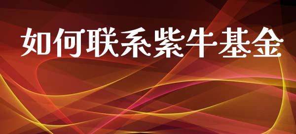 如何联系紫牛基金_https://wap.jnbaishite.cn_期货资讯_第1张