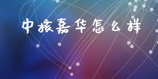 中核嘉华怎么样_https://wap.jnbaishite.cn_理财投资_第1张