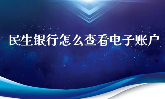 民生银行怎么查看电子账户_https://wap.jnbaishite.cn_期货资讯_第1张