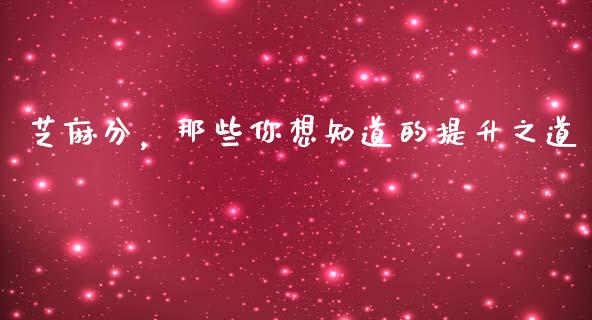 芝麻分，那些你想知道的提升之道_https://wap.jnbaishite.cn_理财投资_第1张