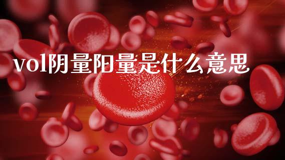 vol阴量阳量是什么意思_https://wap.jnbaishite.cn_理财投资_第1张