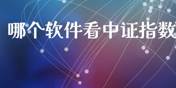 哪个软件看中证指数_https://wap.jnbaishite.cn_全球财富_第1张
