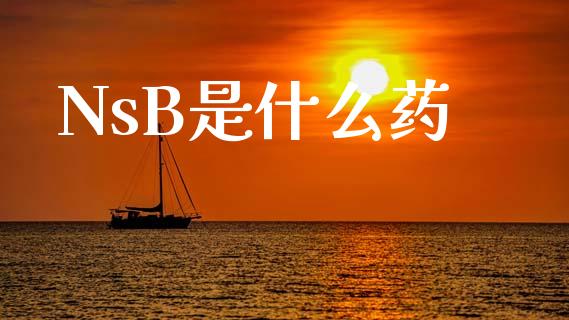 NsB是什么药_https://wap.jnbaishite.cn_全球财富_第1张