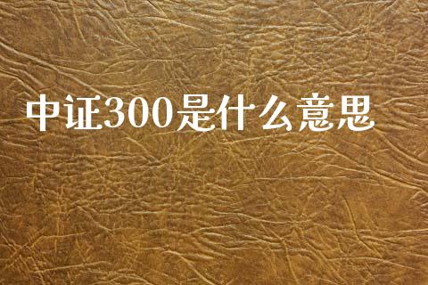 中证300是什么意思_https://wap.jnbaishite.cn_金融资讯_第1张