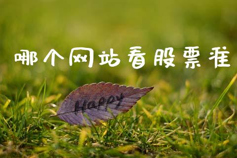 哪个网站看股票准_https://wap.jnbaishite.cn_理财投资_第1张