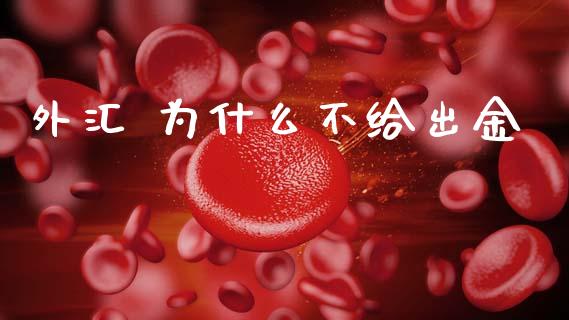 外汇 为什么不给出金_https://wap.jnbaishite.cn_期货资讯_第1张