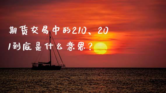 期货交易中的210、201到底是什么意思？_https://wap.jnbaishite.cn_期货资讯_第1张