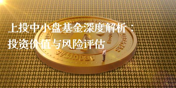 上投中小盘基金深度解析：投资价值与风险评估_https://wap.jnbaishite.cn_金融资讯_第1张