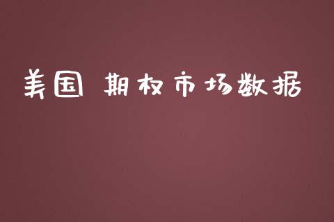美国 期权市场数据_https://wap.jnbaishite.cn_金融资讯_第1张