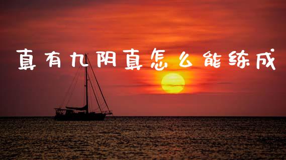 真有九阴真怎么能练成_https://wap.jnbaishite.cn_理财投资_第1张
