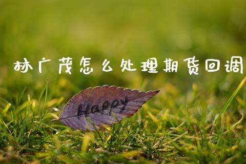 林广茂怎么处理期货回调_https://wap.jnbaishite.cn_期货资讯_第1张