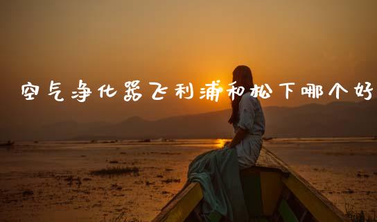 空气净化器飞利浦和松下哪个好_https://wap.jnbaishite.cn_金融资讯_第1张