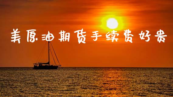 美原油期货手续费好贵_https://wap.jnbaishite.cn_期货资讯_第1张