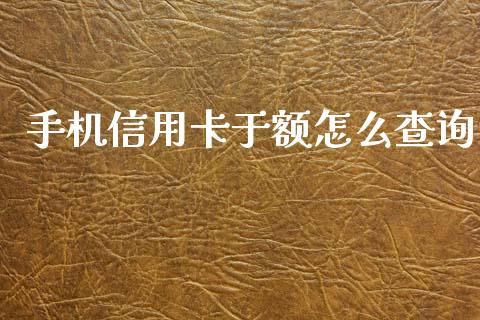 手机信用卡于额怎么查询_https://wap.jnbaishite.cn_理财投资_第1张