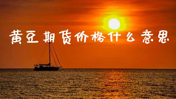 黄豆期货价格什么意思_https://wap.jnbaishite.cn_金融资讯_第1张
