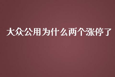 大众公用为什么两个涨停了_https://wap.jnbaishite.cn_全球财富_第1张