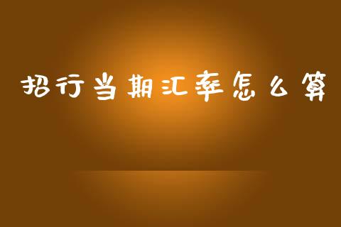 招行当期汇率怎么算_https://wap.jnbaishite.cn_理财投资_第1张